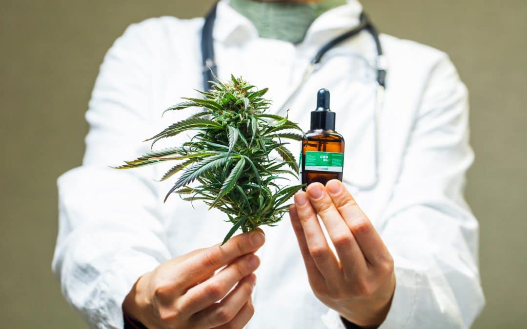 Medicinal Cannabis in Australia | Part 4: Protecting plant-related innovation in Australia