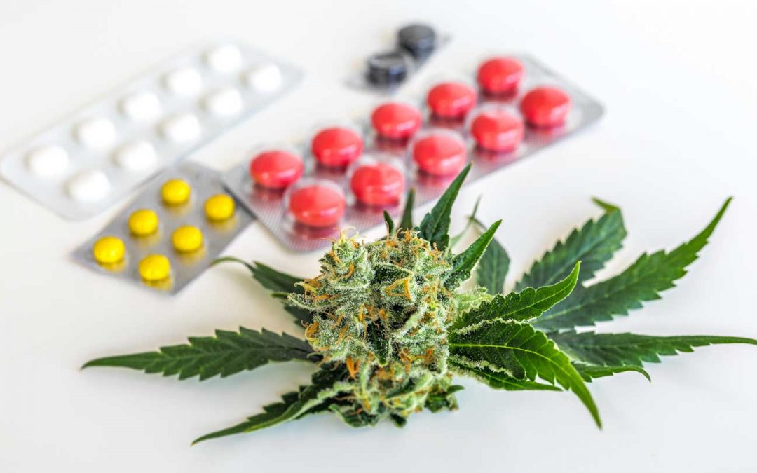 Medicinal Cannabis in Australia | Part 5: Making therapeutic claims: advertising and labelling of medicinal cannabis products