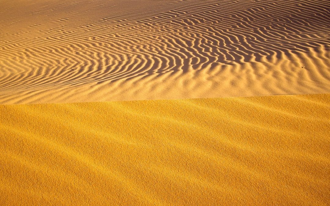 Beware the shifting sands of patent term extensions (PTE) in Australia
