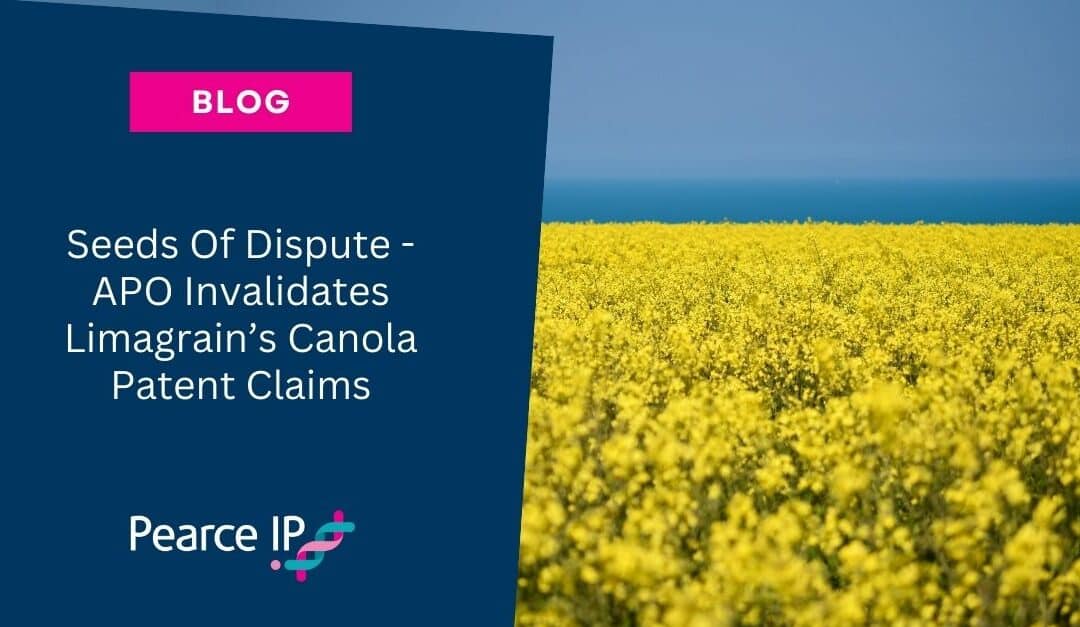 Seeds Of Dispute – APO Invalidates Limagrain’s Canola Patent Claims