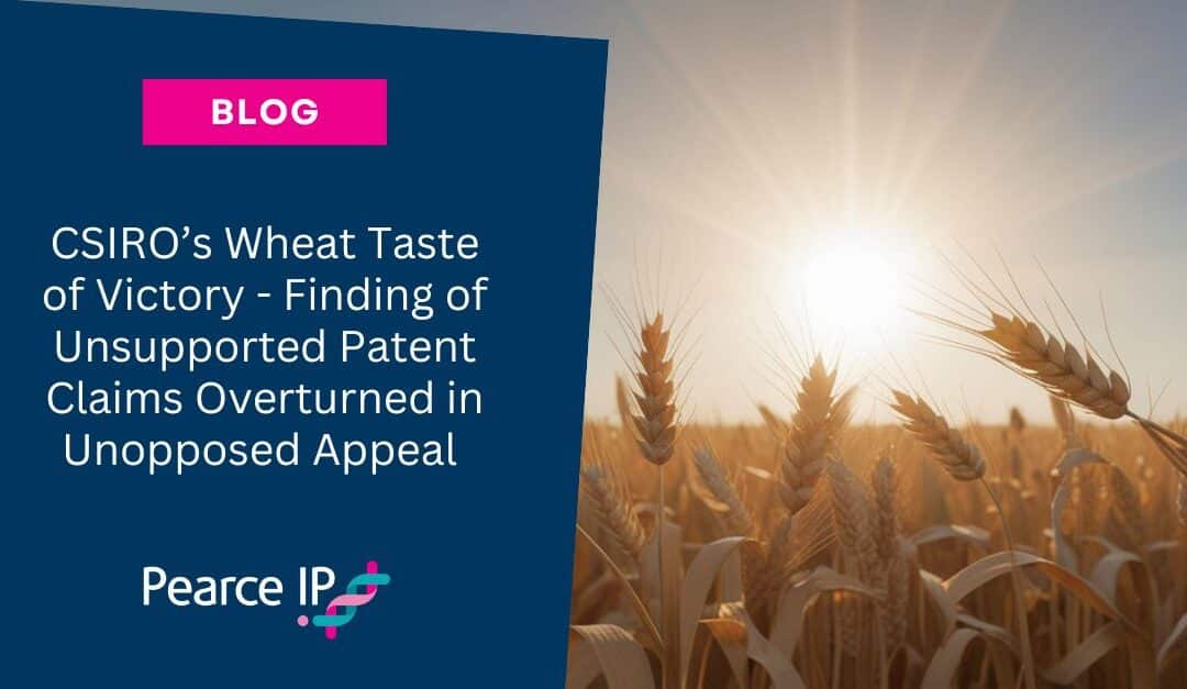 CSIRO’s Wheat Taste of Victory – Finding of Unsupported Patent Claims Overturned in Unopposed Appeal